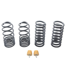ST Lowering Springs 79-99 Ford Mustang 3rd gen. / 4th gen.