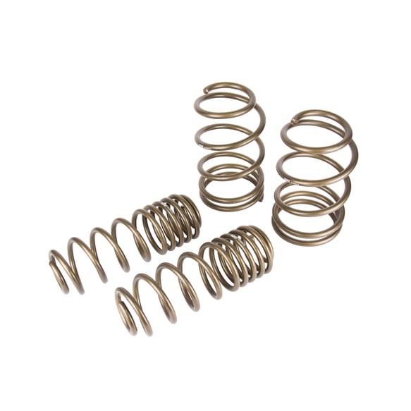 HURST STAGE 1 PERFORMANCE SPRING KIT