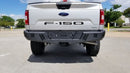 Road Armor 15-20 Ford F150 SPARTAN Rear Bumper - Tex Blk-2