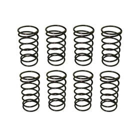 Moroso Valve Checking Springs