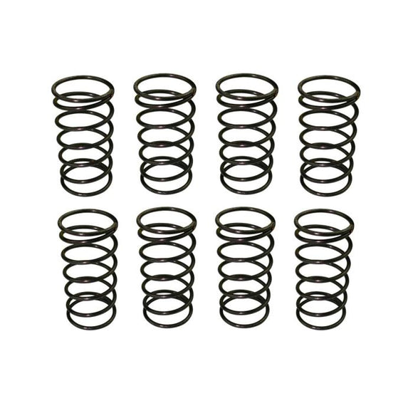Moroso Valve Checking Springs