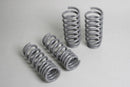 Progress Tech 04-10 Dodge Chrysler 300C/2009+ Dodge Challenger V8 Sport Springs-1