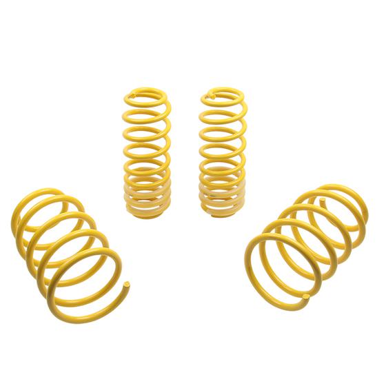 Lowering Springs 05-14 Ford Mustang 5th gen.