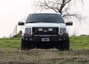 Road Armor 09-14 Ford F-150 Stealth Front Winch Bumper w/Pre-Runner Guard - Tex Blk-2