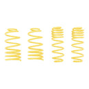 Lowering Springs 98-05 VW Golf IV, 98-10 Beetle, 03-10 Beetle Convertible / Audi TT + TT Roadster (8N) 2WD-2
