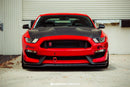 Anderson Composites 15-19 Ford Mustang Shelby GT350 Type-CR Double Sided Carbon Fiber Hood-7
