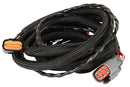 MSD Harness. Ford (E40D 95-97)-1