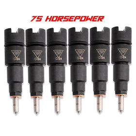 DDP Dodge 98.5-02 24v Injector Set - 75HP