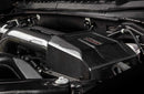 FORD REDLINE CARBON FIBER INTAKE SYSTEM F-150 ECOBOOST RAPTOR / LIMITED / 3.5L-10
