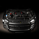 Redline Carbon Fiber Air Scoop for Ford F-150 EcoBoost Raptor / Tremor / Limited / 3.5L / 2.7L-3