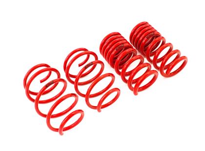 Eibach Sportline Kit | 2015-2021 Mustang GT 5.0L V8