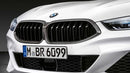 BMW M Performance G14 / G15 / G16 8-Series Carbon Front Grille-5