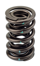 AFR Street Hydraulic/Solid Roller Spring 1.550 O.D. PAC #1940. Set of 16-1