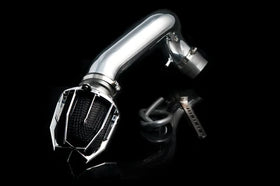 Weapon R 94-01 Acura Integra VTec GSR Dragon Intake