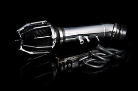 Weapon R 91-95 Acura Legend w/ TCCS / 96-98 TL 3.2L V6 w/ TCCS Polished Dragon Intake