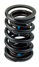 AFR Pioneer Hydraulic Flat Tappet Spring 1.450 O.D.. Ea.-1