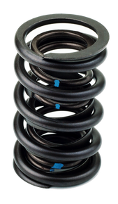 AFR Pioneer Hydraulic Flat Tappet Spring 1.450 O.D.. Set of 16