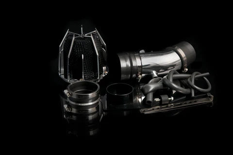 Weapon R 95-00 Nissan Maxima Dragon Intake Polished