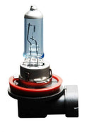 ANZO Halogen Bulbs Universal H8 12V 55/65W Super White Twin Pack-1