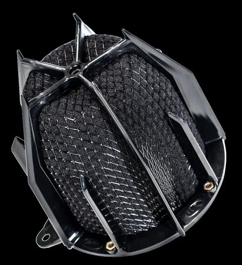 Weapon R 96-03 Pontiac Sunfire 2.4L / 96-01 Pontiac Grand AM 2.4L / 98-03 Malibu Dragon Intake