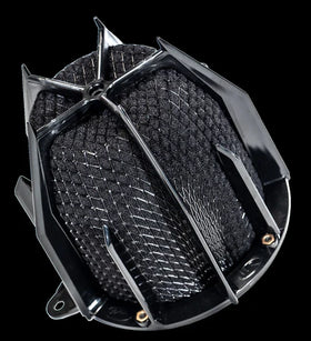 Weapon R 96-03 Pontiac Sunfire 2.4L Dragon Intake w/ Chrome Cage - 0