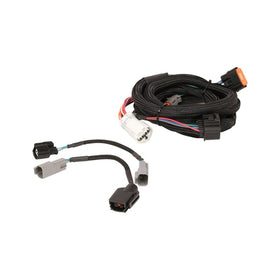 MSD Harness. Ford (4R70W/75W 98-up)