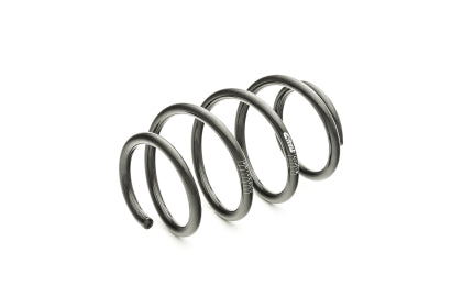 Eibach Pro-Kit Performance Springs | 2015-2025 Ford Mustang GT