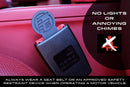 Flat 6 Motorsports - Seat Belt Simulator / Dummy Belt-9