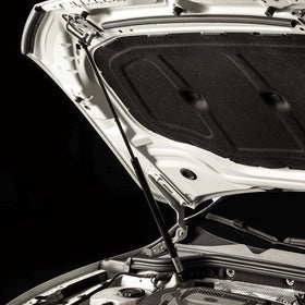 VOLKSWAGEN HOOD STRUT KIT (MK8) GTI, GOLF R 2022-2024 - 0