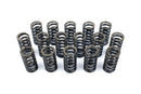 Upgraded Valve Springs for 1.6 / 2.0 16v & 2.7 / 3.0 24v TDI CR-1