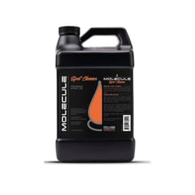SIMPSON MOLECULE SPOT CLEANER 1 GAL