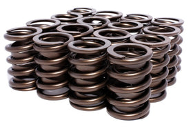 COMP Cams Valve Springs 1.460in Outer