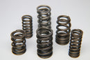 Ferrea Acura/Honda B18C1/C3 Dual Valve Spring - Set of 16-1