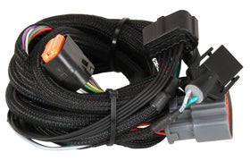 MSD Harness. Ford (4R100 1998-up)
