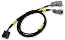 AEM CD-7/CD-7L Plug and Play Adapter Harness for MSD Grid-1
