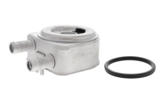 ACKOJA Oil Cooler, engine oil A52-60-0019