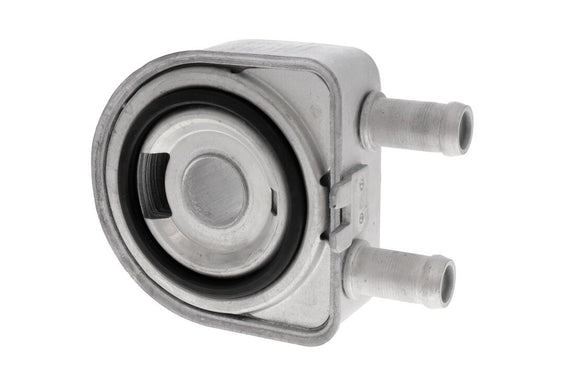 ACKOJA Oil Cooler, engine oil A52-60-0019