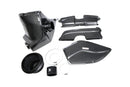 E9X 323i / 330i       E9X 325i (N52)  Carbon Fiber Air Intake-1