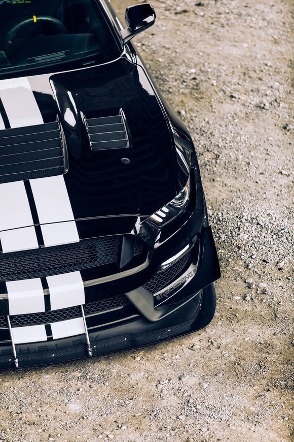 Anderson Composites 15-19 Ford Mustang Shelby GT350 Type-CR Double Sided Carbon Fiber Hood