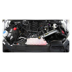 AEM 2015 Ford F-150 5.0L V8 Brute Force Cold Air Intake System - 0