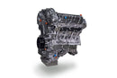 AMS Performance 3.8L VR38 Stage 1 Long Block-1