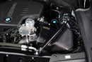 F10 520i/ 528i (N20B20) Carbon Fiber Air Intake-2