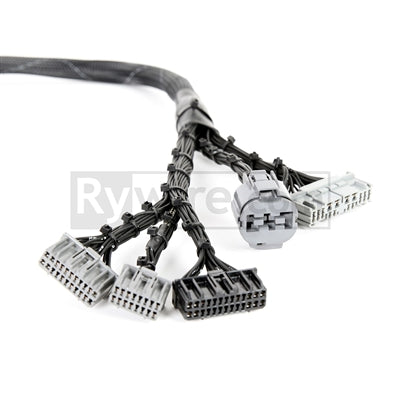 Rywire Honda B-Series OBD1 Tuck Budget Engine Harness w/Chassis Specific Adapter