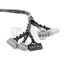 Rywire Honda B-Series OBD1 Tuck Budget Engine Harness w/Chassis Specific Adapter-2