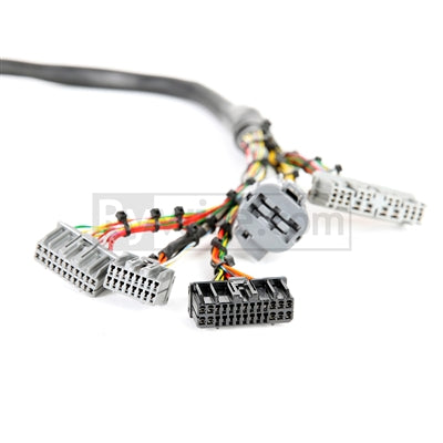 Rywire Honda B/D-Series OBD1 Tucked Budget Engine Harness w/Chassis Specific Adapter