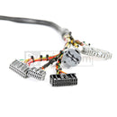 Rywire Honda B/D-Series Mil-Spec Engine Harness w/Chassis Specific Adapter-3