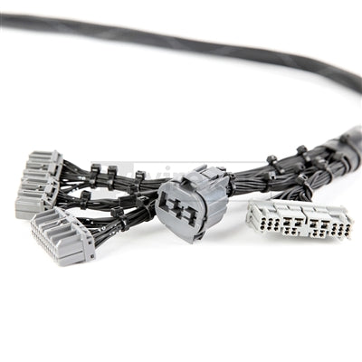 Rywire Honda B-Series OBD2 Tuck Budget Eng Harness w/OBD2 Dist/Inj/Alt/92-95 OBD1 Plug (Adapter Req)