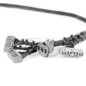 Rywire Honda B-Series OBD2 Tuck Budget Eng Harness w/OBD2 Dist/Inj/Alt/92-95 OBD1 Plug (Adapter Req) - 0