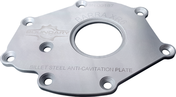 Boundary 12-16 Ford Barra XR6 Billet Back Plate