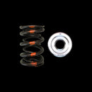 Brian Crower Honda/Acura B18A/B18B/B20B Dual Spring & Titanium Retainer Kit-1